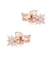 Sparkle Stud Earring STS-6963